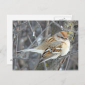 B24 Gemeenschappelijke reserve Briefkaart (Voorkant / Achterkant)