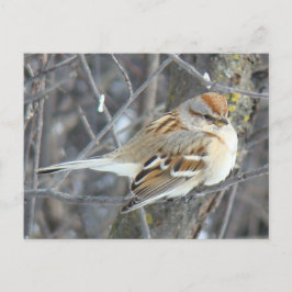 B24 Gemeenschappelijke reserve Briefkaart