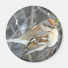 B24 Gemeenschappelijke reserve Magneet