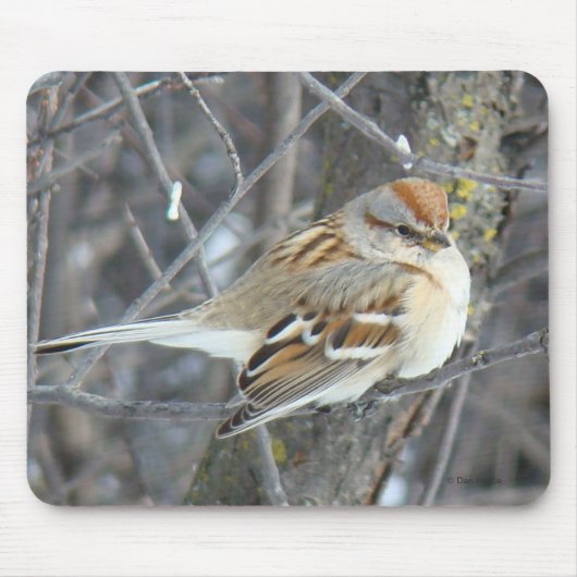 B24 Gemeenschappelijke reserve Muismat (Voorkant)