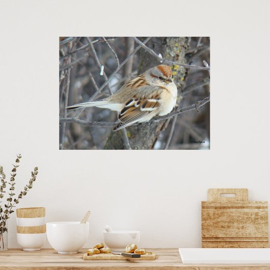 B24 Gemeenschappelijke reserve Poster (Keuken)