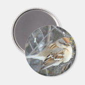 B24 Huismus Magneet (Voorkant / Achterkant)