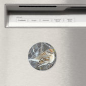 B24 Huismus Magneet (Insitu (Vaatwasser))