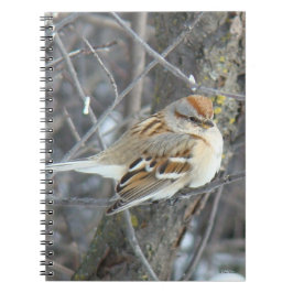 B24 Huismus Notitieboek