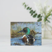 B25 Noordelijke schokdemper Drake Briefkaart (Staand voorkant)