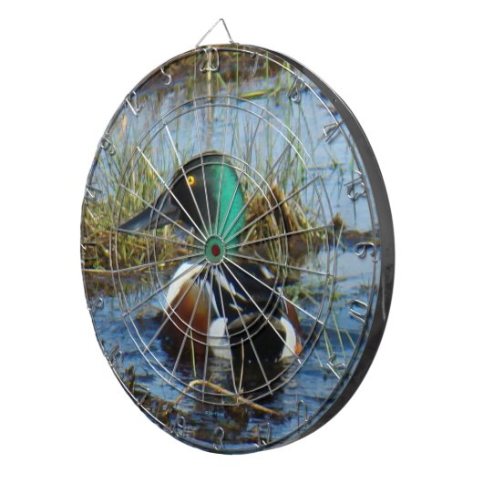 B25 Noordelijke schokdemper Drake Dartbord (Voorkant Rechts)