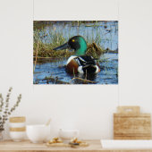 B25 Noordelijke schokdemper Drake Poster (Keuken)