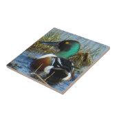 B25 Noordelijke schokdemper Drake Tegeltje (Zijkant)