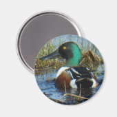 B25 Noordelijke schokdemper Magneet (Voorkant / Achterkant)