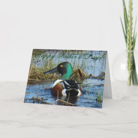 B25 Northern Shoveler Duck Kaart (Voorkant)