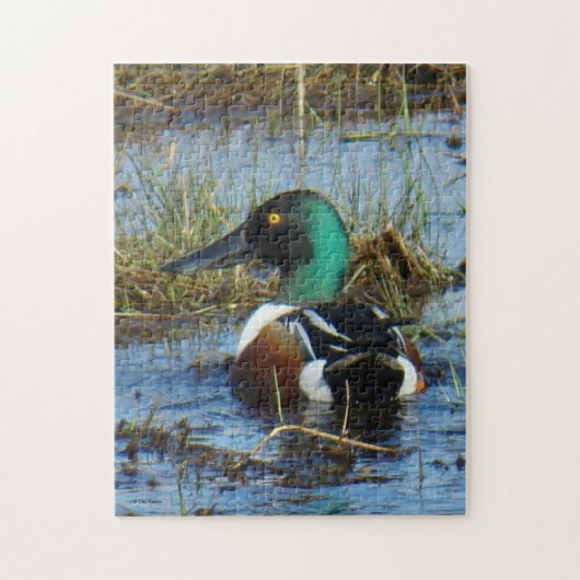 B25 Slobeend mannetje Legpuzzel (Verticaal)