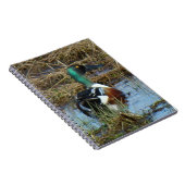 B26 Noordelijke schokdemper Drake Notitieboek (Rechterzijde)