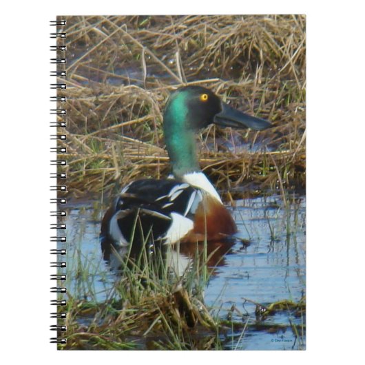 B26 Noordelijke schokdemper Drake Notitieboek (Voorkant)