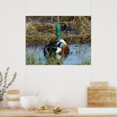 B26 Noordelijke schokdemper Drake Poster (Keuken)