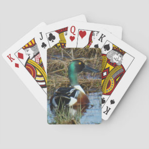 B26 Noordelijke Slagsnavel Woerd Lepelaar Pokerkaarten