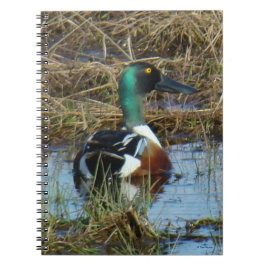 B26 Noordelijke Slobeend Woerd Notitieboek