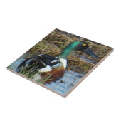 B26 Slobeend mannetje Tegeltje (Zijkant)