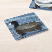 B27 Common Coot Kartonnen Onderzetters (Schuin)