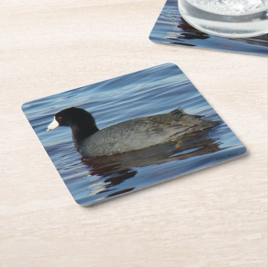 B27 Common Coot Kartonnen Onderzetters (Schuin)