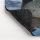 B27 Common Coot Muismat (Hoek)