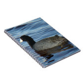 B27 Common Coot Notitieboek (Rechterzijde)