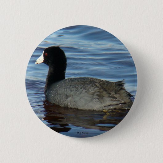 B27 Meerkoet Ronde Button 5,7 Cm (Voorkant)