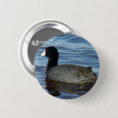 B27 Meerkoet Ronde Button 5,7 Cm (Voorkant /achterkant)