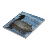 B27 Meerkoet Tegeltje (Zijkant)