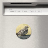 B29 Common Nighthawk Magneet (Insitu (Vaatwasser))