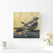 B29 Common Nighthawk Vierkante Klok (Huis)