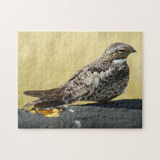 B29 Nachtzwaluw Legpuzzel (Horizontaal)