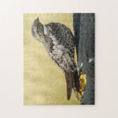 B29 Nachtzwaluw Legpuzzel (Verticaal)