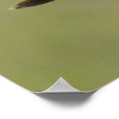 B2 Commom Nighthawk Poster (Hoek)