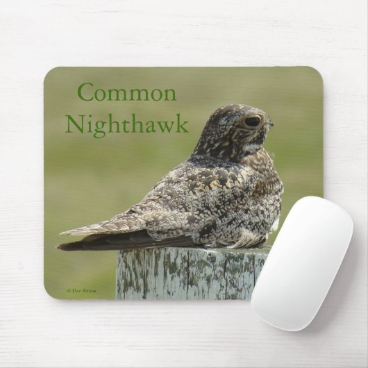 B2 Common Nighthawk Muismat (Met muis)