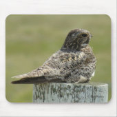 B2 Common Nighthawk Muismat (Voorkant)