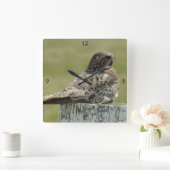 B2 Common Nighthawk Vierkante Klok (Huis)