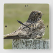 B2 Common Nighthawk Vierkante Klok (Voorkant)