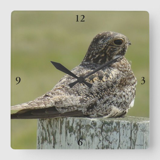 B2 Common Nighthawk Vierkante Klok (Voorkant)