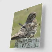 B2 Common Nighthawk Vierkante Klok (Hoek)