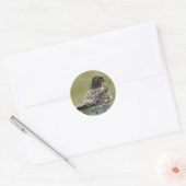 B2 Gewone Nachtzwaluw Ronde Sticker (Envelop)