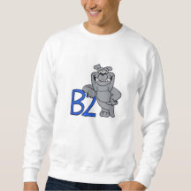 B2 Retropullover