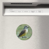 B31 Westelijke Koningsvogel Magneet (Insitu (Vaatwasser))