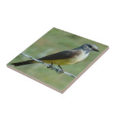 B31 Westelijke Koningsvogel Tegeltje (Zijkant)