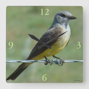 B31 Westelijke Koningsvogel Vierkante Klok