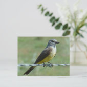 B31 Western Kingbird Briefkaart (Staand voorkant)
