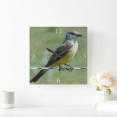 B31 Western Kingbird Vierkante Klok (Huis)