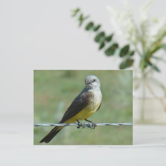 B32 Western Kingbird Briefkaart (Staand voorkant)