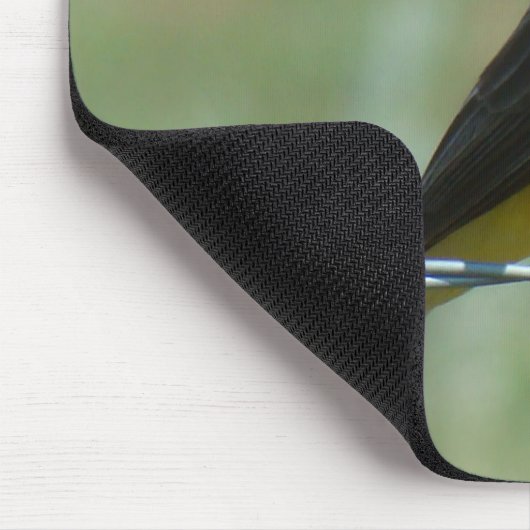 B32 Western Kingbird Muismat (Hoek)