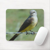 B32 Western Kingbird Muismat (Met muis)