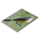 B32 Western Kingbird Notitieboek (Linkerzijde)